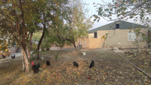 4 sot Torpaq, Satış, Bakı, Binəqədi, 20 yanvar