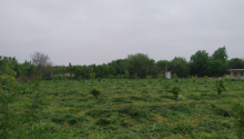 40 sot Torpaq, Satış, Tərtər