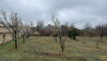 40 sot Torpaq, Satış, Tərtər