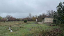 40 sot Torpaq, Satış, Tərtər