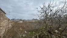 24 sot Torpaq, Satış, Bakı, Sabunçu, Koroğlu