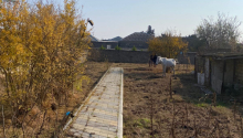 2000 m2 Torpaq, Satış, Bakı, Suraxanı, Koroğlu