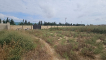 186 sot Torpaq, Satış, Abşeron