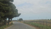186 sot Torpaq, Satış, Abşeron