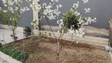 8 otaqlı Villa / Həyət evi, Satış, Bakı, Sabunçu, Koroğlu