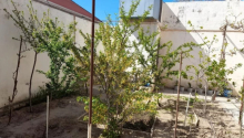 3 otaqlı Villa / Həyət evi, Satış, Bakı, Sabunçu, Koroğlu