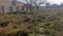 12 sot Torpaq, Satış, Bakı, Sabunçu, Koroğlu