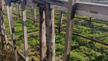 10 sot Torpaq, Satış, Bakı, Sabunçu, Koroğlu