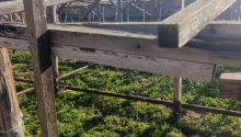 10 sot Torpaq, Satış, Bakı, Sabunçu, Koroğlu