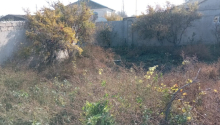 4 sot Torpaq, Satış, Bakı, Sabunçu, Koroğlu