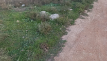 6 sot Torpaq, Satış, Bakı, Sabunçu, Koroğlu