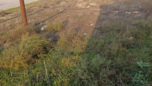 6 sot Torpaq, Satış, Bakı, Sabunçu, Koroğlu