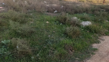 6 sot Torpaq, Satış, Bakı, Sabunçu, Koroğlu