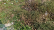 3 sot Torpaq, Satış, Bakı, Sabunçu, Koroğlu