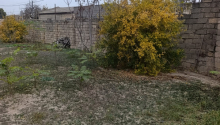 7 sot Torpaq, Satış, Bakı, Sabunçu, Koroğlu