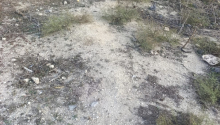 12 sot Torpaq, Satış, Bakı, Sabunçu, Koroğlu