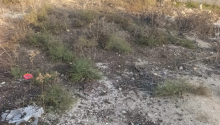 12 sot Torpaq, Satış, Bakı, Sabunçu, Koroğlu