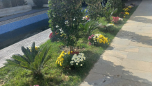 4 otaqlı Bağ evləri, Satış, Bakı, Xəzər, Koroğlu