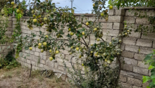 4 otaqlı Villa / Həyət evi, Satış, Bakı, Xəzər, Koroğlu