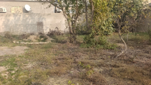 6 sot Torpaq, Satış, Bakı, Sabunçu, Koroğlu