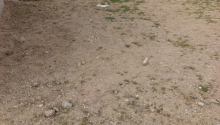 2 sot Torpaq, Satış, Bakı, Sabunçu, Koroğlu