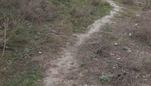 5 sot Torpaq, Satış, Bakı, Sabunçu, Koroğlu