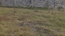 5 sot Torpaq, Satış, Bakı, Sabunçu, Koroğlu