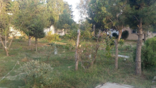 3 otaqlı Bağ evləri, Satış, Abşeron