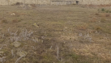 3 otaqlı Villa / Həyət evi, Satış, Bakı, Sabunçu, Koroğlu