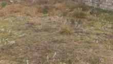 3 otaqlı Villa / Həyət evi, Satış, Bakı, Sabunçu, Koroğlu