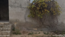 3 otaqlı Villa / Həyət evi, Satış, Bakı, Sabunçu, Koroğlu