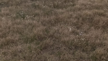 12 m2 Torpaq, Satış, Bakı, Sabunçu, Koroğlu