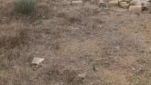 12 m2 Torpaq, Satış, Bakı, Sabunçu, Koroğlu