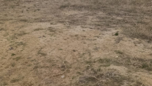 12 m2 Torpaq, Satış, Bakı, Sabunçu, Koroğlu
