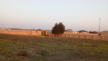 18 m2 Torpaq, Satış, Bakı, Sabunçu, Koroğlu