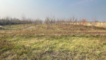64 sot Torpaq, Satış, Göyçay