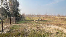 64 sot Torpaq, Satış, Göyçay