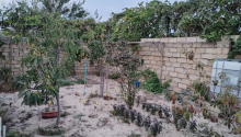 7 otaqlı Villa / Həyət evi, Satış, Bakı, Sabunçu, Koroğlu