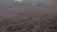 3 sot Torpaq, Satış, Bakı, Sabunçu, Koroğlu