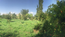 25 sot Torpaq, Satış, Ağdaş
