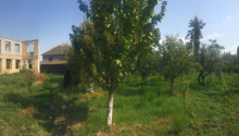 25 sot Torpaq, Satış, Ağdaş