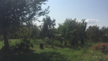 25 sot Torpaq, Satış, Ağdaş