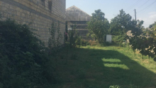 25 sot Torpaq, Satış, Ağdaş