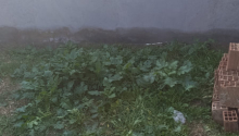 3 otaqlı Villa / Həyət evi, Satış, Bakı, Sabunçu, Koroğlu