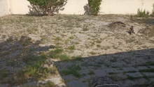 3 otaqlı Villa / Həyət evi, Kirayə (aylıq), Abşeron