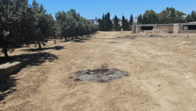 80 sot Torpaq, Satış, Bakı, Xəzər