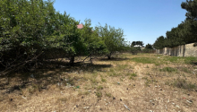 220 m2 Torpaq, Satış, Bakı, Sabunçu, Koroğlu