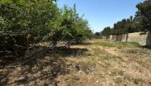 220 m2 Torpaq, Satış, Bakı, Sabunçu, Koroğlu