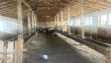 112 sot Torpaq, Satış, Göyçay