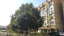 3 otaqlı Köhnə tikili, Kirayə (aylıq), Bakı, Nəsimi, 28 may